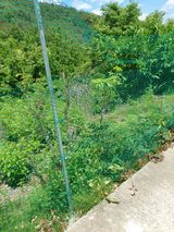 팜모닝 기타작물·영농일지 게시글 이미지