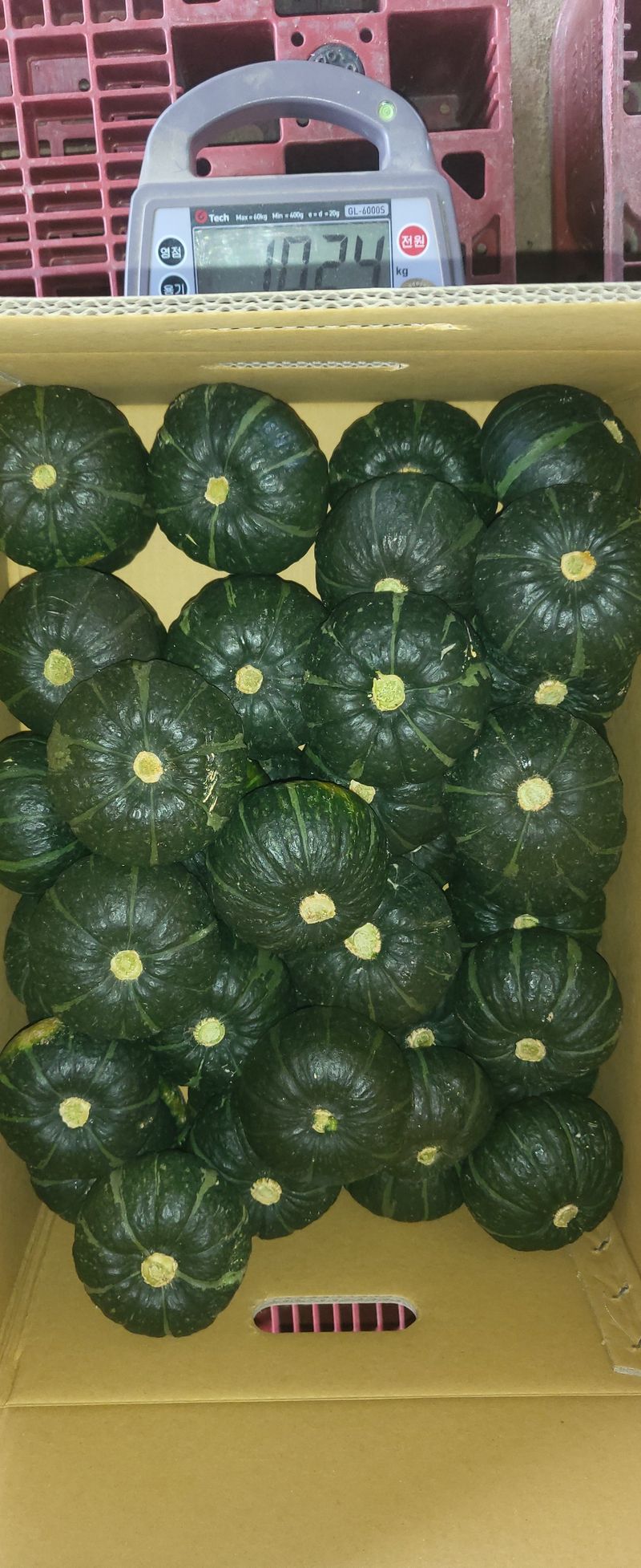 박재영님의 장터 판매 상품 [미니밤호박5kg.10kg] 첨부 사진