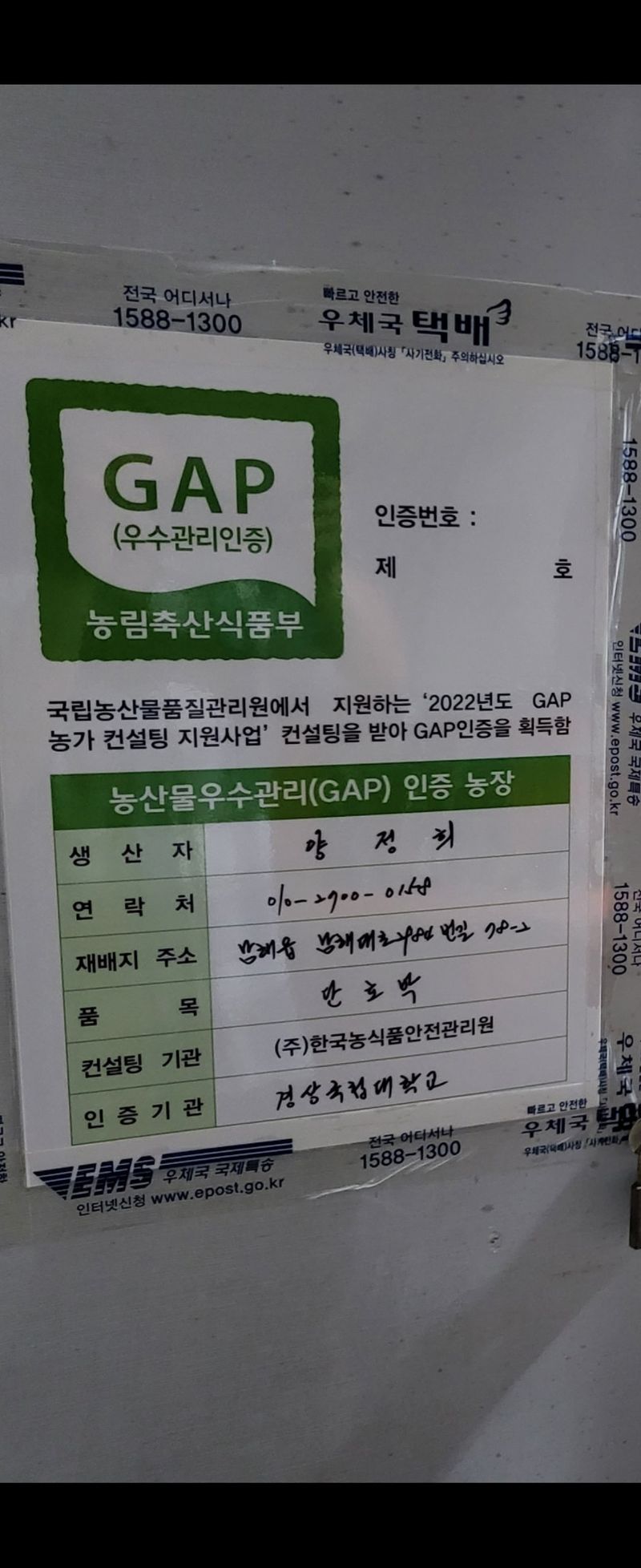 박재영님의 장터 판매 상품 [미니밤호박5kg.10kg] 첨부 사진