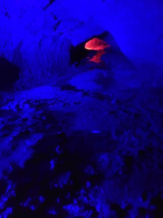 이원우님의 자유주제 · 자유게시판 작성글 사진