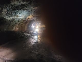 이원우님의 자유주제 · 자유게시판 작성글 사진