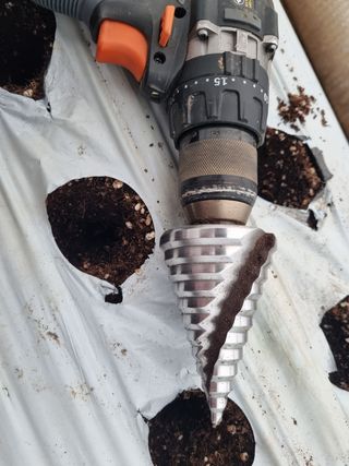 박상석님의 팜모닝 · 출석 작성글 사진