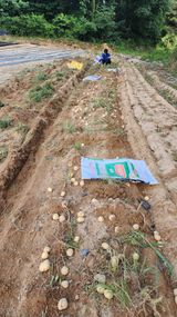 팜모닝 감자·영농일지 게시글 이미지