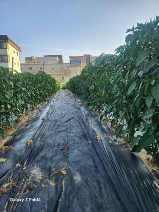 세민님의 자유주제 · 사진전 작성글 사진