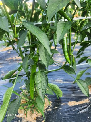 세민님의 자유주제 · 사진전 작성글 사진