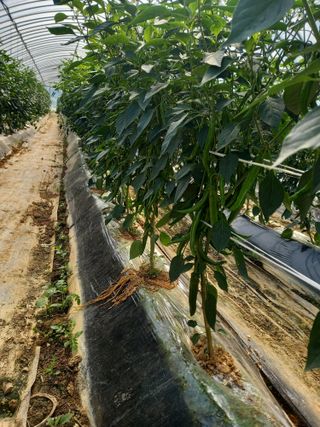 인간문화재님의 자유주제 · 자유게시판 작성글 사진