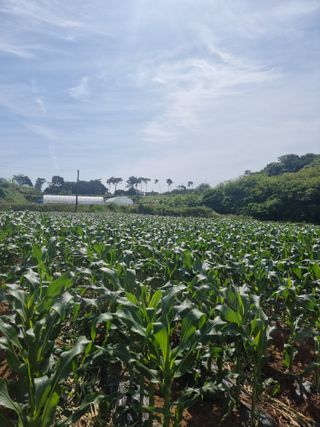 이병남님의 👩🏻‍🌾7월 농작업 계획 · 참여글 작성글 사진