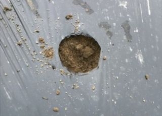 엄재식님의 농사, 무엇이든 물어보세요! · 참여글 작성글 사진