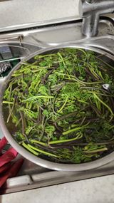 팜모닝 자유주제·자유게시판 게시글 이미지