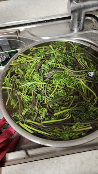 강성심님의 자유주제 · 자유게시판 작성글 사진