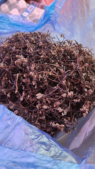 강성심님의 자유주제 · 자유게시판 작성글 사진