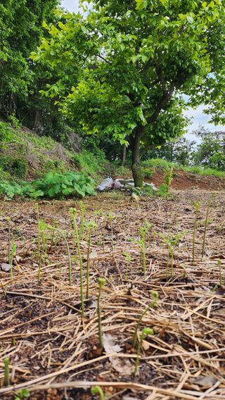 강성심님의 자유주제 · 자유게시판 작성글 사진
