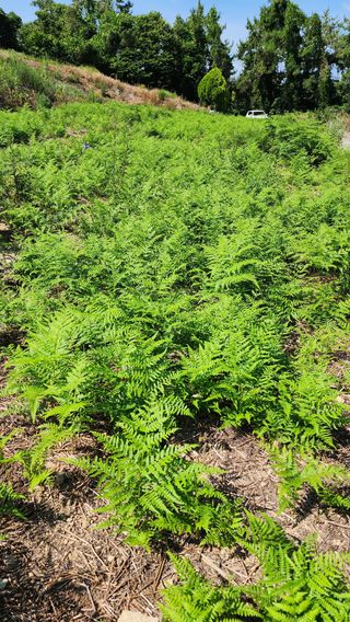 강성심님의 자유주제 · 자유게시판 작성글 사진