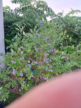 팜모닝 · 게시글 이미지