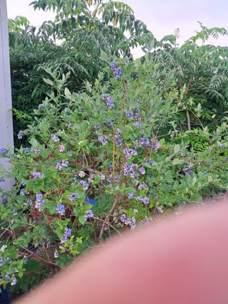 임기석님의 작성글 사진