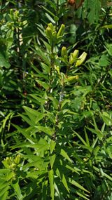 팜모닝 · 게시글 이미지