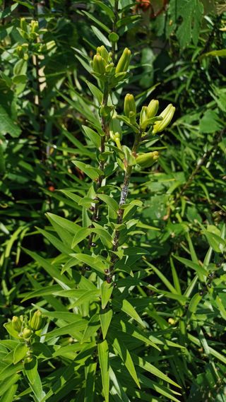 박신영님의 작성글 사진