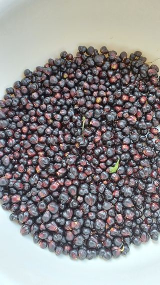 박신영님의 작성글 사진