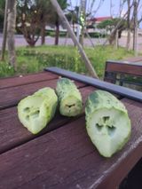 팜모닝 농사, 무엇이든 물어보세요!·참여글 게시글 이미지