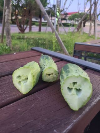 비룡이님의 농사, 무엇이든 물어보세요! · 참여글 작성글 사진