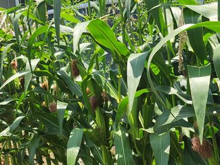 이민희님의 자유주제 · 자유게시판 작성글 사진