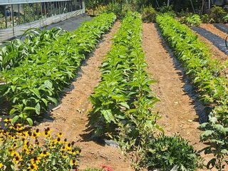 이민희님의 자유주제 · 자유게시판 작성글 사진