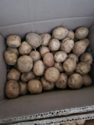 천지창조님의 자유주제 · 자유게시판 작성글 사진