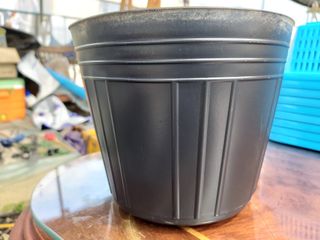 박용남님의 자유주제 · 자유게시판 작성글 사진