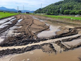 유유님의 벼 · 영농일지 작성글 사진