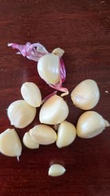 팜모닝 마늘·영농일지 게시글 이미지