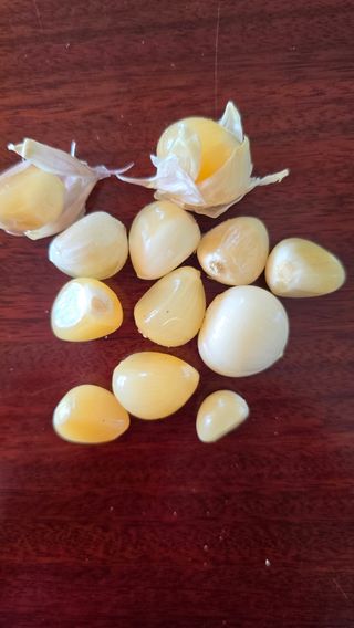 바라만봐도님의 마늘 · 영농일지 작성글 사진