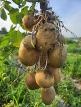 팜모닝 자유주제·사진전 게시글 이미지