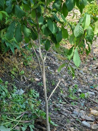 김용대님의 자유주제 · 자유게시판 작성글 사진