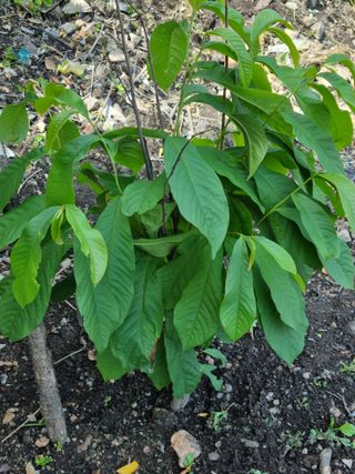 김용대님의 자유주제 · 자유게시판 작성글 사진