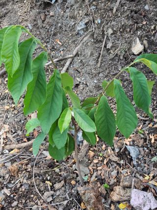 김용대님의 자유주제 · 자유게시판 작성글 사진