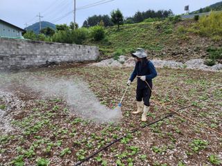 돌산갓스타님의 기타작물 · 영농일지 작성글 사진