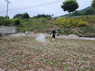 돌산갓스타님의 기타작물 · 영농일지 작성글 사진