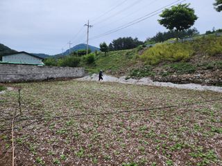 돌산갓스타님의 기타작물 · 영농일지 작성글 사진