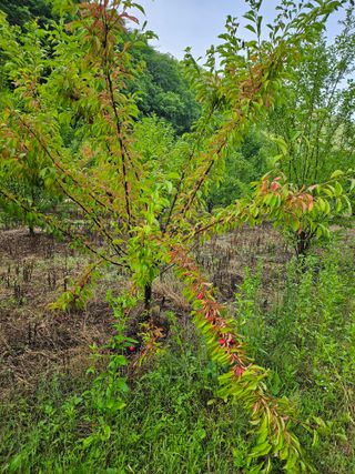 김희동님의 자유주제 · 자유게시판 작성글 사진