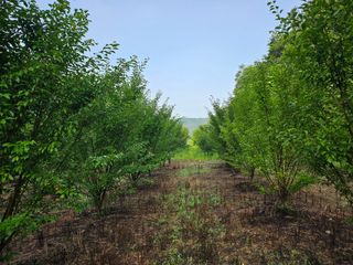 김희동님의 자유주제 · 자유게시판 작성글 사진