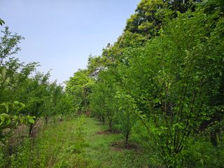 김희동님의 자유주제 · 자유게시판 작성글 사진