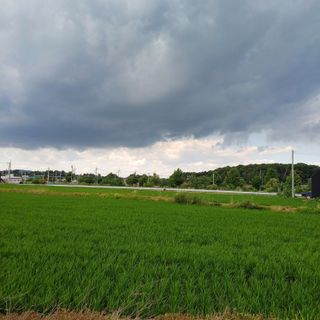 낙엽교목류19982님의 자유주제 · 자유게시판 작성글 사진