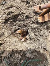 팜모닝 자유주제·자유게시판 게시글 이미지