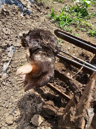 초짜농부님의 자유주제 · 자유게시판 작성글 사진