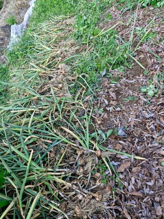 당근한개님의 자유주제 · 자유게시판 작성글 사진