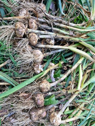 당근한개님의 자유주제 · 자유게시판 작성글 사진