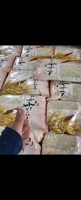 팜모닝 · 게시글 이미지