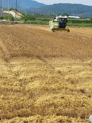 김영진(전남영광)님의 작성글 사진