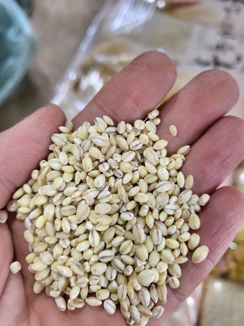 김영진(전남영광)님의 장터 판매 상품 [보리쌀 쌀보리 15kg] 첨부 사진