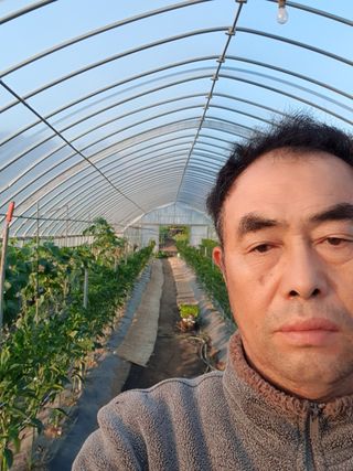 삼성리이충환님의 고추 · 영농일지 작성글 사진
